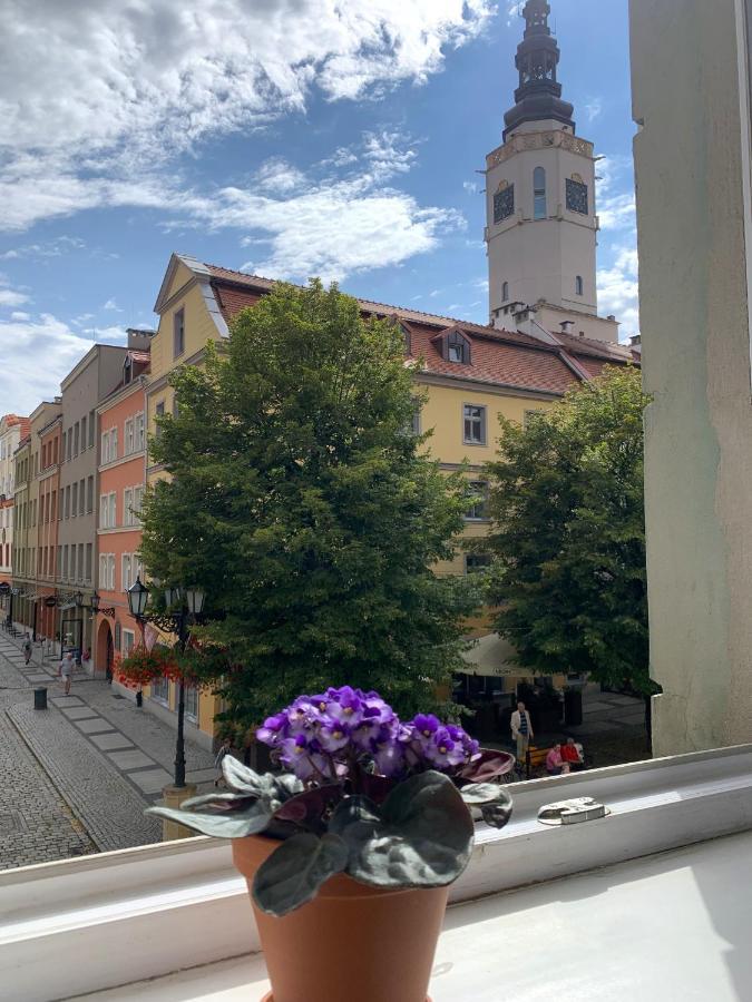 Rynekart Apartment Świdnica Kültér fotó